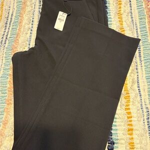 Express Editor Boot Mid Rise Pant